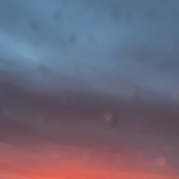 Meet your Posher, Syd - Picture 1 of 1